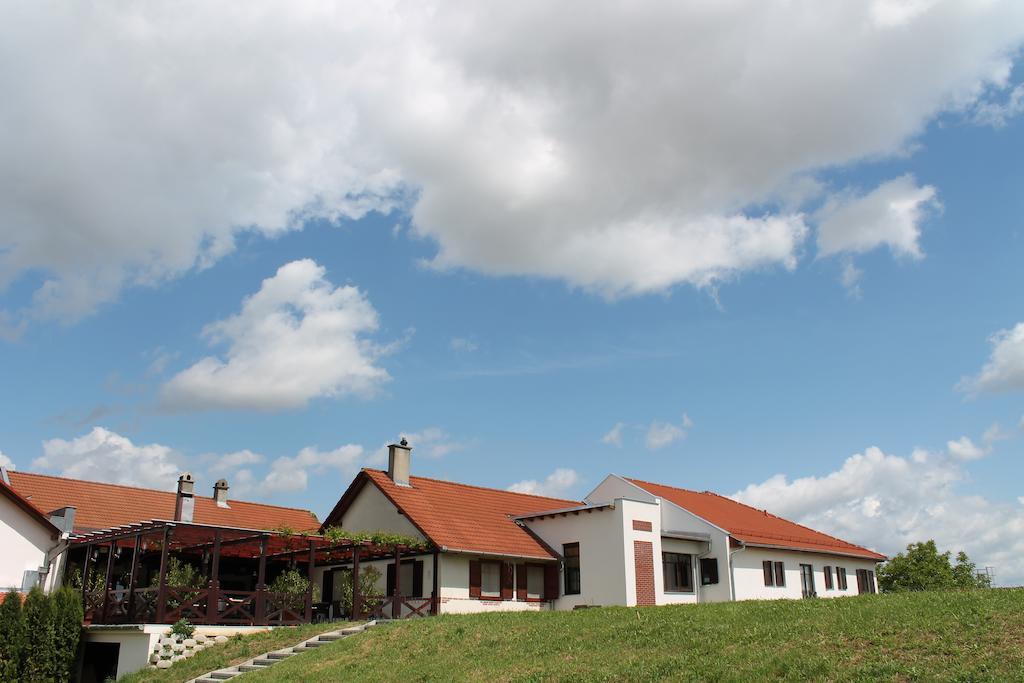 Hotel Tiffan'S Pinceszet Es Panzio Villány Exterior foto
